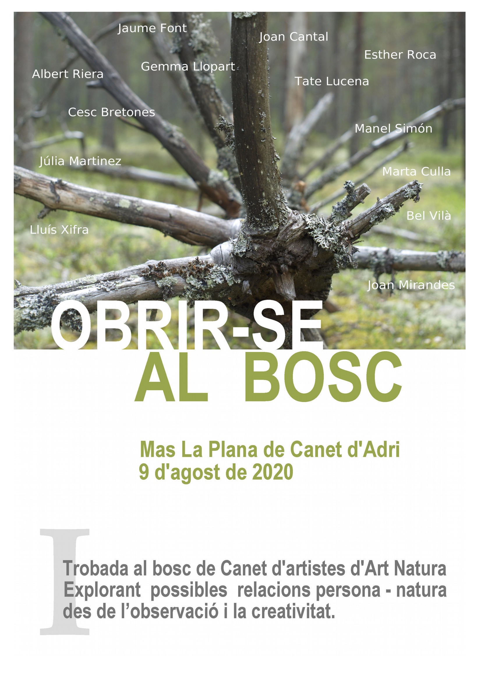 Obrir-se al bosc, La Plana de Canet d'Adri, agost de 2020